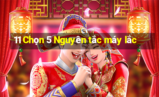 11 Chọn 5 Nguyên tắc máy lắc