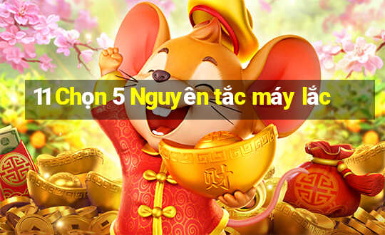 11 Chọn 5 Nguyên tắc máy lắc