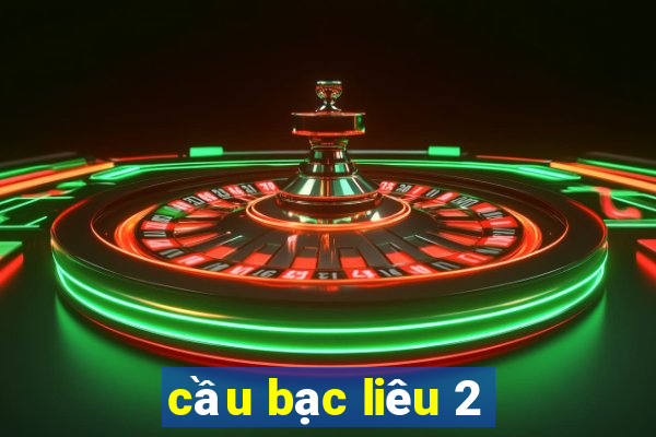 cầu bạc liêu 2