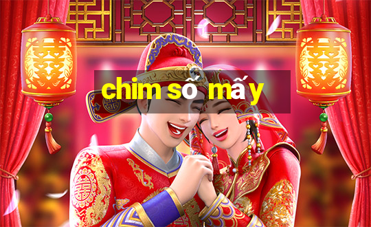 chim số mấy