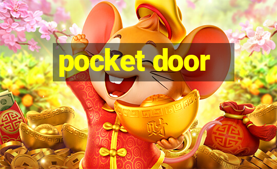 pocket door