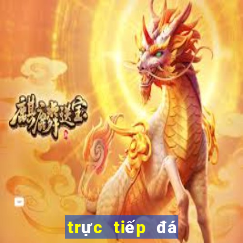 trực tiếp đá gà thomo 999 hôm nay