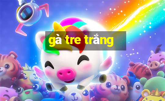 gà tre trắng