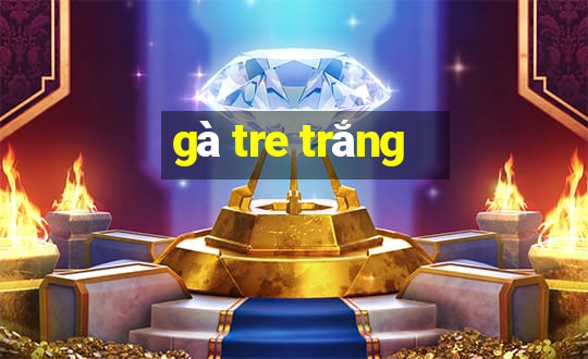 gà tre trắng