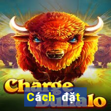 Cách đặt cược XSLD Thứ 7