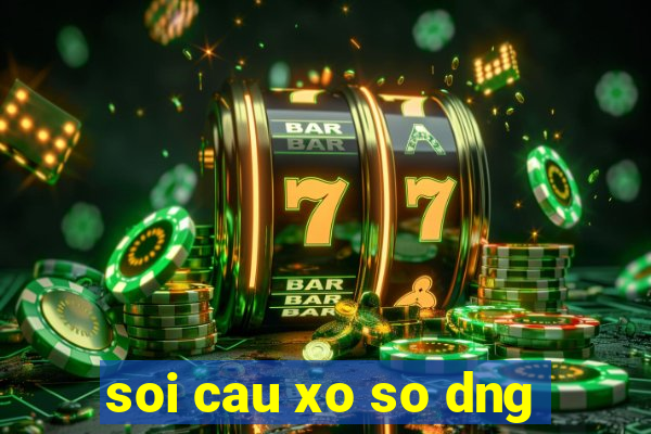 soi cau xo so dng