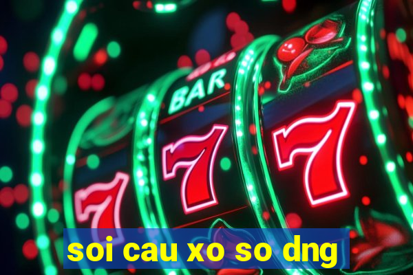 soi cau xo so dng