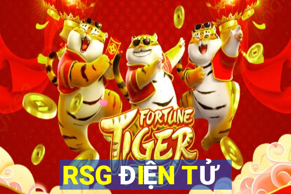 RSG ĐIỆN TỬ