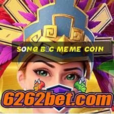 sòng bạc meme coin