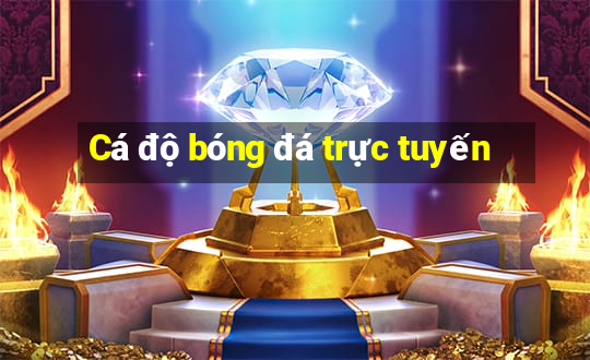 Cá độ bóng đá trực tuyến