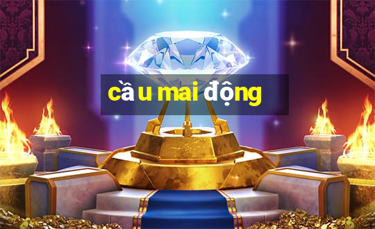 cầu mai động