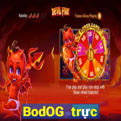 BodOG trực tuyến chó