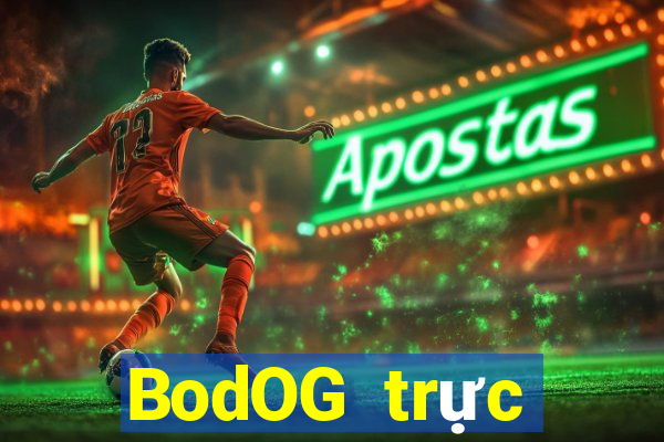 BodOG trực tuyến chó