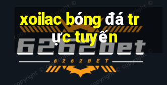 xoilac bóng đá trực tuyến