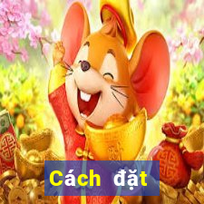 Cách đặt cược XSVT ngày 5