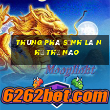 thùng phá sảnh là như thế nào