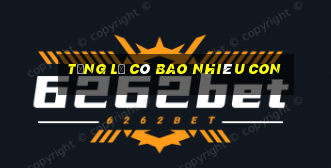 tổng lẻ có bao nhiêu con