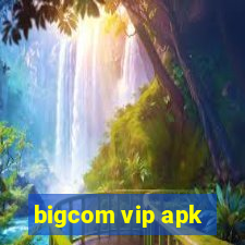 bigcom vip apk