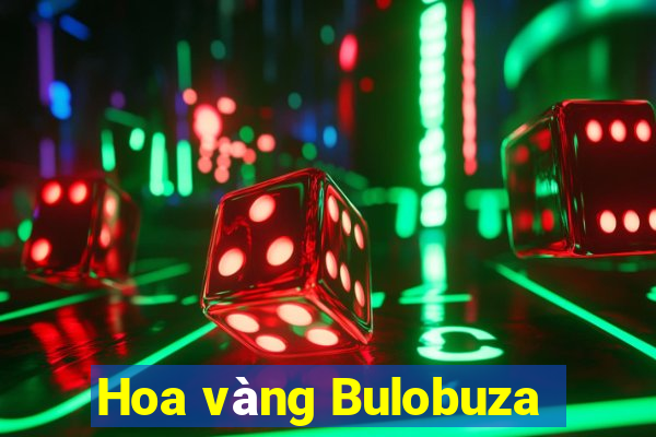 Hoa vàng Bulobuza