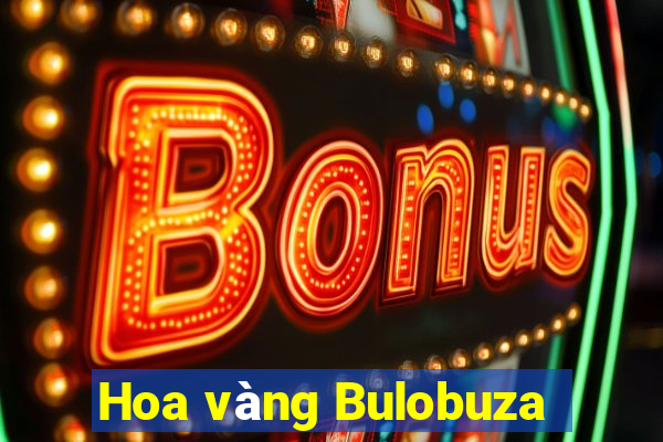 Hoa vàng Bulobuza