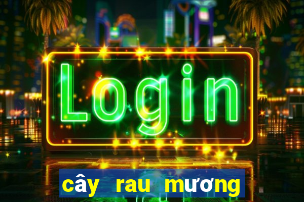 cây rau mương trị hp