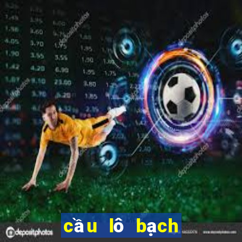 cầu lô bạch thủ hôm nay