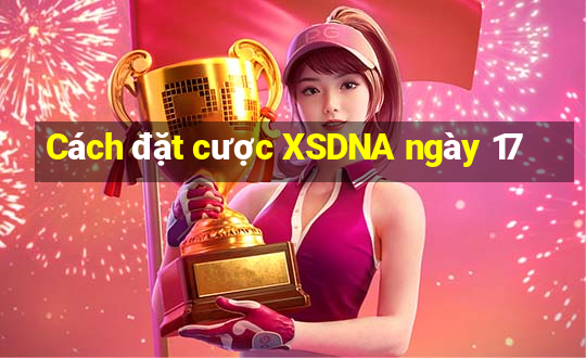 Cách đặt cược XSDNA ngày 17