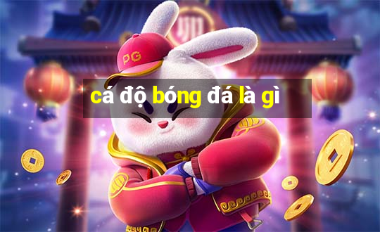 cá độ bóng đá là gì