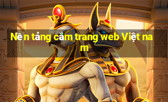 Nền tảng cắm trang web Việt nam