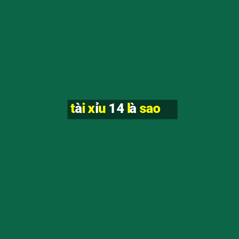 tài xỉu 1 4 là sao