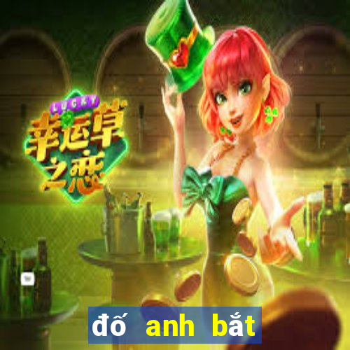 đố anh bắt được em