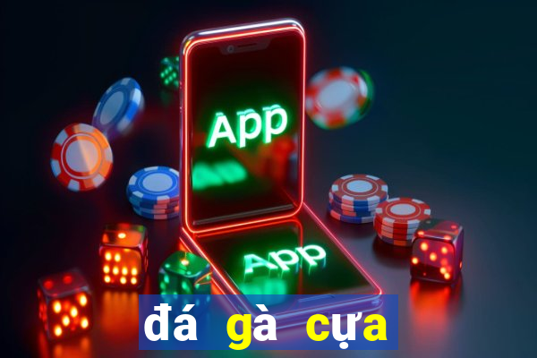 đá gà cựa sắt miền tây