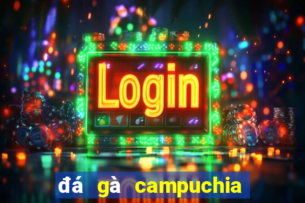 đá gà campuchia 22 4 2024