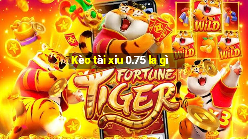 Kèo tài xỉu 0.75 la gì