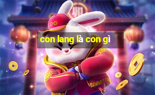 con lang là con gì