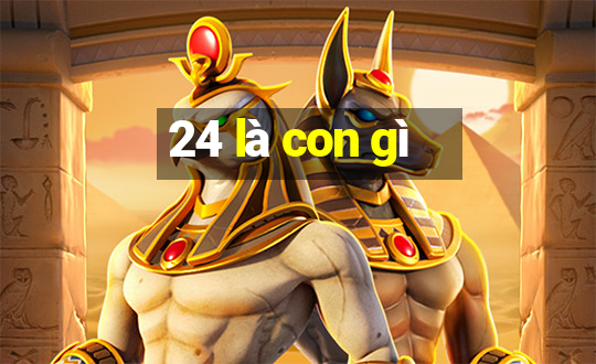 24 là con gì