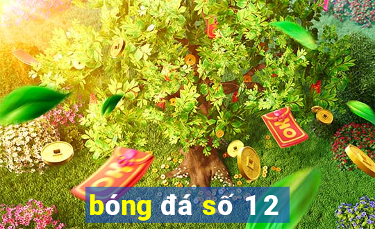 bóng đá số 1 2