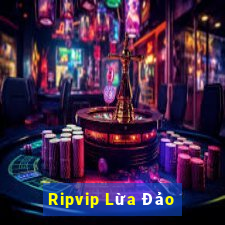 Ripvip Lừa Đảo