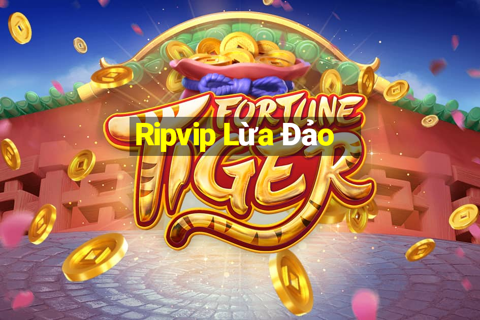 Ripvip Lừa Đảo