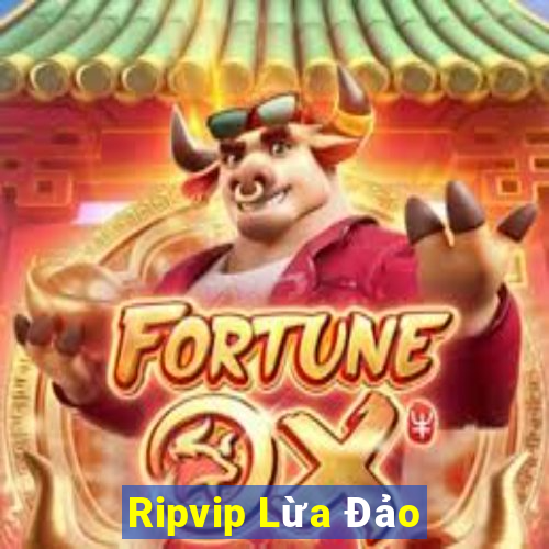 Ripvip Lừa Đảo