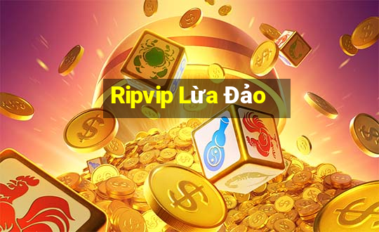 Ripvip Lừa Đảo