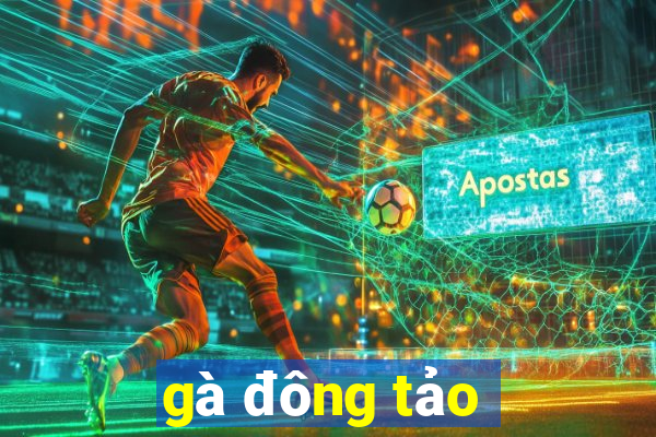 gà đông tảo