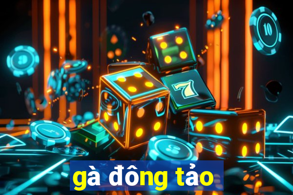 gà đông tảo