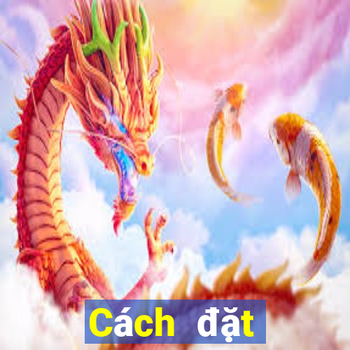 Cách đặt cược XSGL ngày 5