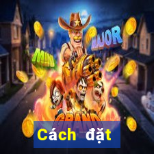 Cách đặt cược XSGL ngày 5