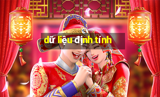 dữ liệu định tính