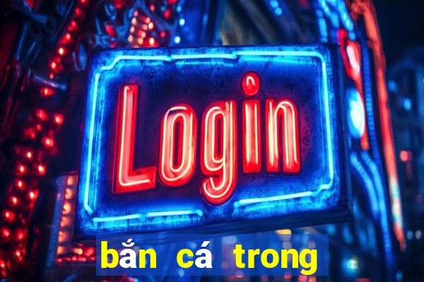 bắn cá trong siêu thị