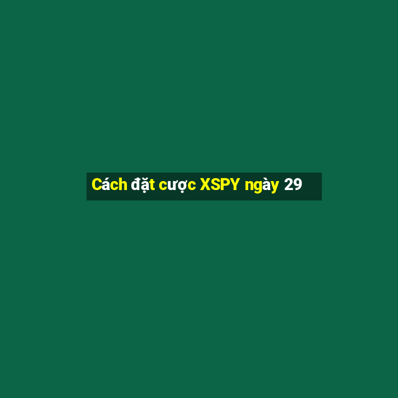 Cách đặt cược XSPY ngày 29