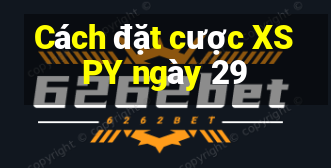 Cách đặt cược XSPY ngày 29