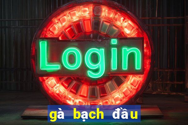 gà bạch đầu chỉ 2 chân